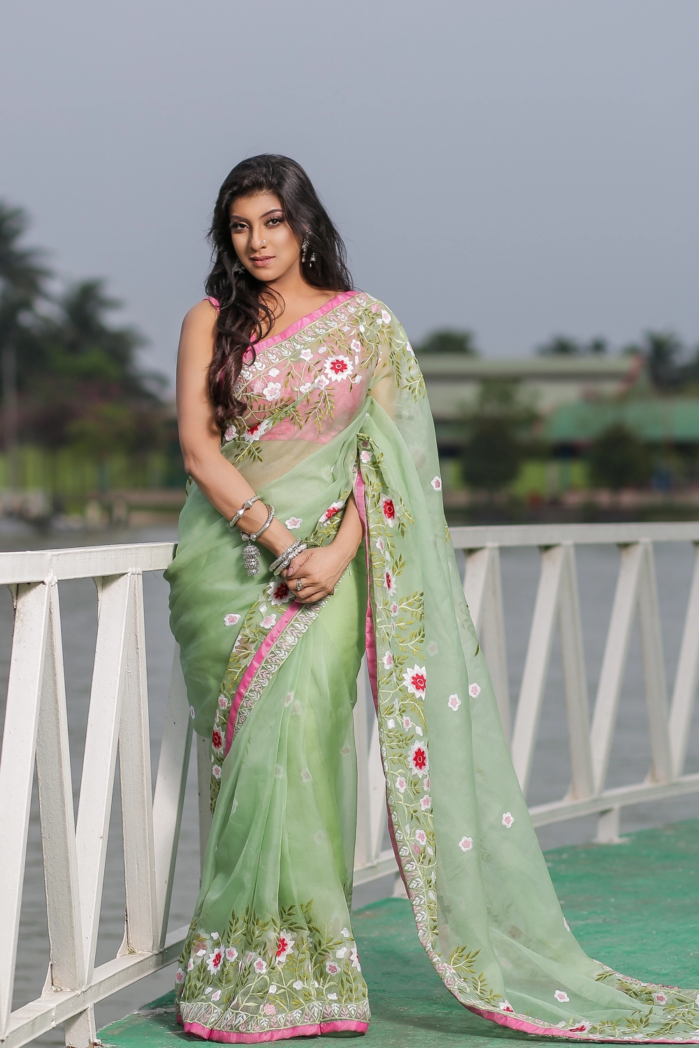 Paste Muslin Saree with Embroidery
